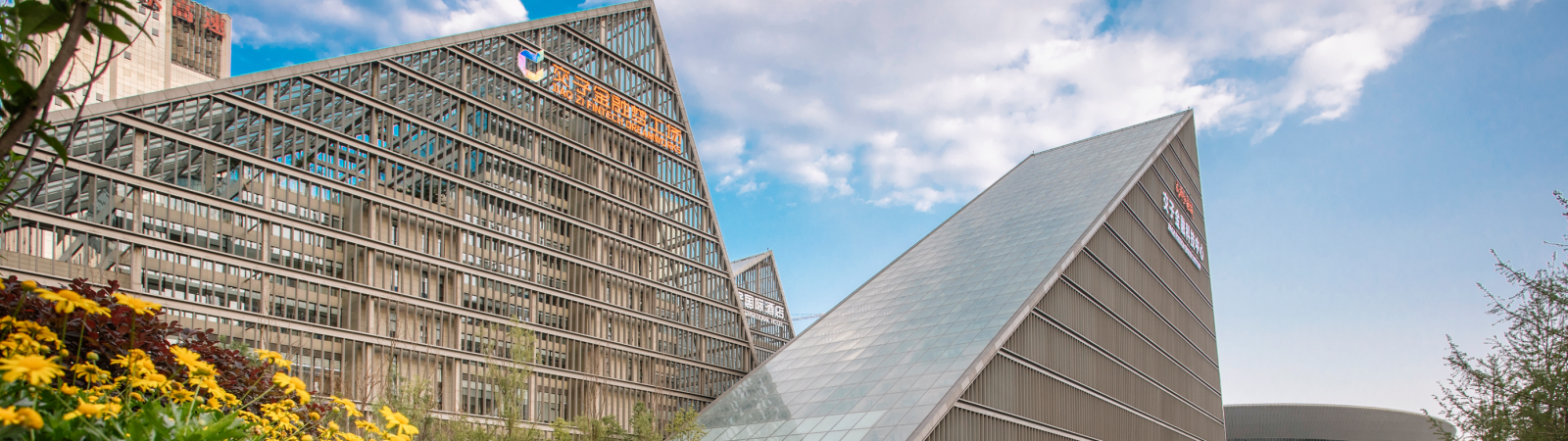 lanbg5.png lanbg5.png