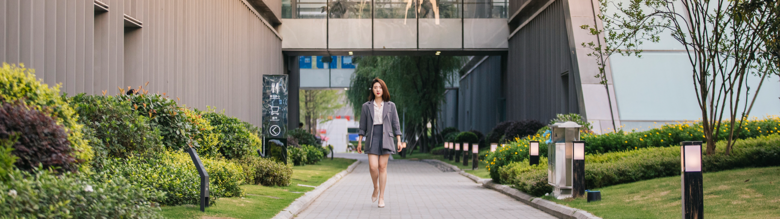 lanbg8.png lanbg8.png